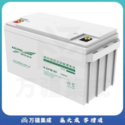科华 6-GFM-65 UPS配套蓄电池