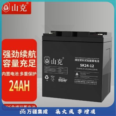 山克12V24AH蓄电池UPS电源电池EPS逆变器蓄电池免维护 SK24-12