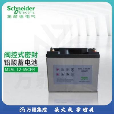 APC 施耐德 UPS电源铅酸蓄电池M2AL12-65CFR