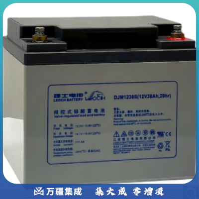 理士12V电池DJWDJM系列UPSEPS铅酸免维护船舶铁路直流屏基站 DJM1238S(12V38AH)