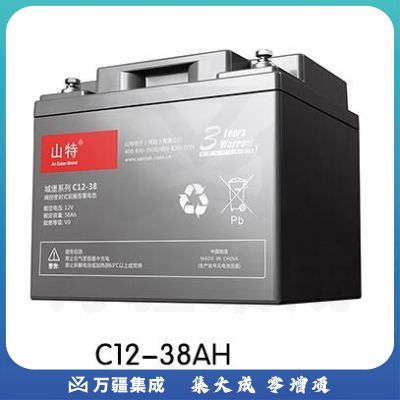山特（SANTAK）C12-38AH 城堡系列 免维护UPS不间断电源机房服务器专用阀控式蓄电