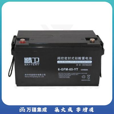 科华精卫蓄电池6-GFM-65-YT铅酸免维护UPS电源专用12V65AH电池