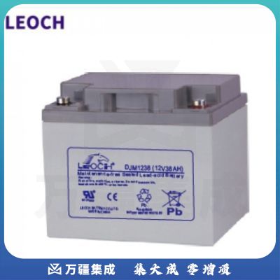 理士电池（LEOCH） DL1238W/12V38AH UPS电池 38AH