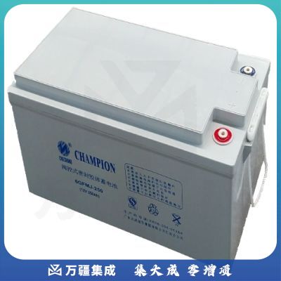 志成冠军6GFMJ-250(12V-250Ah)UPS电池