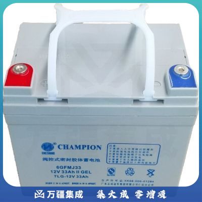 志成冠军6GFMJ-33(12V-33Ah)UPS电池