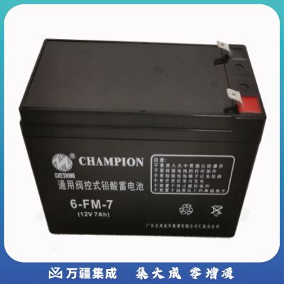 志成冠军6-FM-7(12V-7Ah)UPS电池