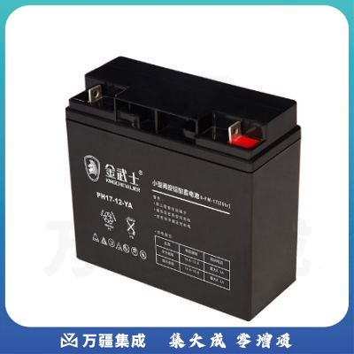 金武士UPS不间断电源配套蓄电池PH17-12/12V17AH