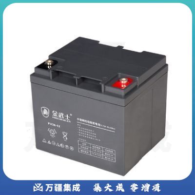 金武士UPS不间断电源配套蓄电池PV38-12/12V38AH