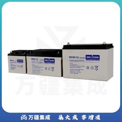 德利森(Delison）不间断电源（UPS)配件蓄电池PK200-12