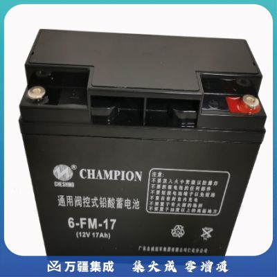 志成冠军6-FM-17(12V-17Ah)UPS电池