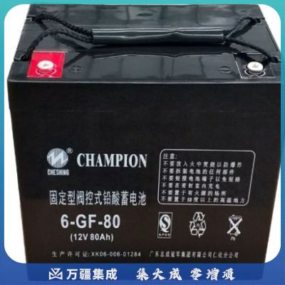志成冠军6-GF-80(12V-80Ah)UPS电池