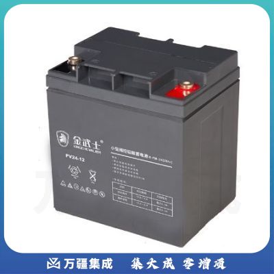 金武士UPS不间断电源配套蓄电池PV24-12/12V24AH