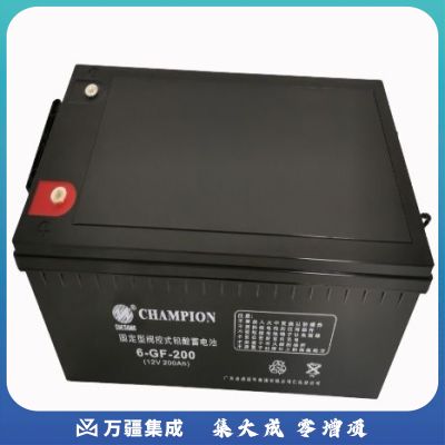 志成冠军6-GF-200 UPS电池