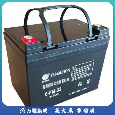 志成冠军6-FM-33（12V-33Ah）UPS电池