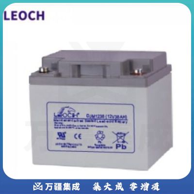 理士电池（LEOCH） DL1238W/12V38AH UPS电池 38AH