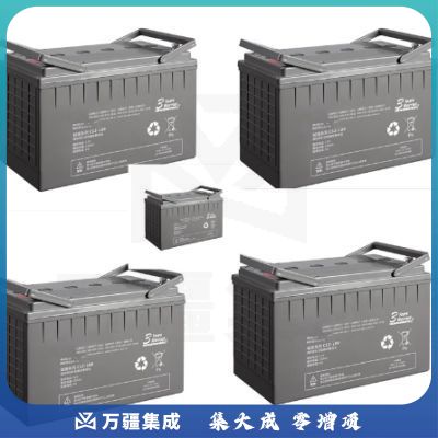 中电博微 BWE100AH UPS电池