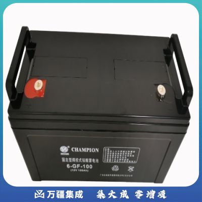 志成冠军6-GF-100(12V-100Ah)UPS电池