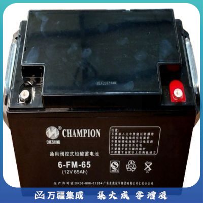 志成冠军6-FM-65(12V-65Ah)UPS电池