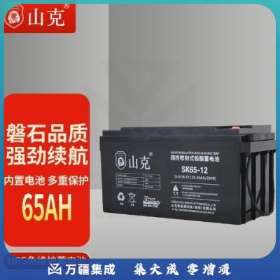 山克12V65AH蓄电池UPS电池EPS逆变器蓄电池免维护蓄电池 SK65-12