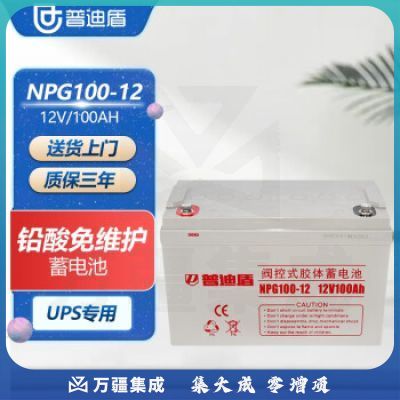普迪盾UPS主机外接电池 铅酸免维护蓄电池 电池UPS设备用电池
