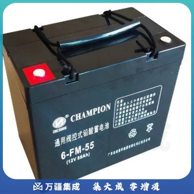 志成冠军6-FM-55 UPS电池