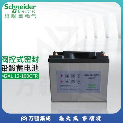 APC UPS电源铅酸蓄电池 施耐德CFR系列 M2AL12-100CFR