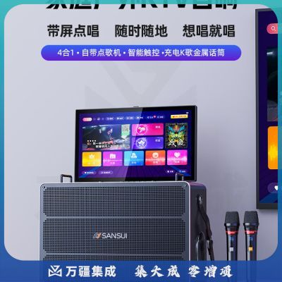 山水（SANSUI）音响套装 户外蓝牙音箱 E29旗舰版【1600W+影院级音效】