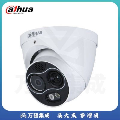 大华（Dahua） 人体测温热成像海螺半球DH-TPC-DF1241-GT