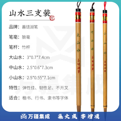 善琏湖笔 毛笔套装文房四宝初学者儿童学生书法国画练习狼毫笔 山水三支装