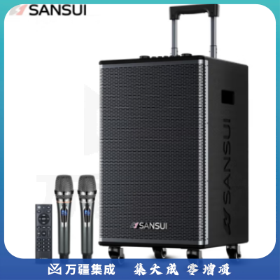 山水（SANSUI）E08广场舞音响 户外音响k歌演出移动便携式拉杆唱歌跳舞大功率重低音带无线话筒 8吋低音+双美声话筒