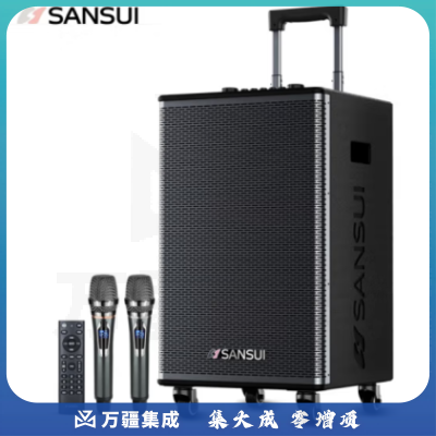 山水（SANSUI）E10广场舞音响 户外音响k歌演出移动便携式拉杆唱歌跳舞大功率重低音带无线话筒 10吋低音+双美声话筒