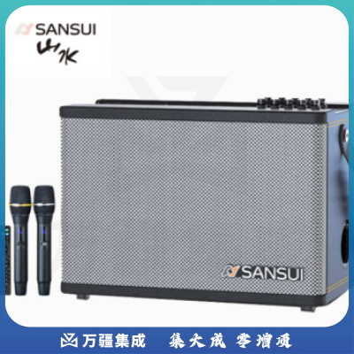 山水（SANSUI）SS190无线蓝牙音箱吉他音响乐器广场舞音响手提便携户外k歌专业直播家用带无线话筒双麦克风