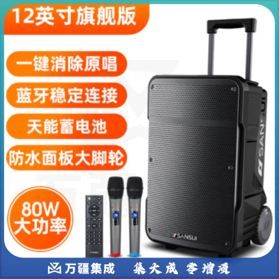 山水（SANSUI）A12 12英寸大功率重低音广场舞音响 便携移动户外蓝牙拉杆音箱多媒体会议扩音器带麦克风