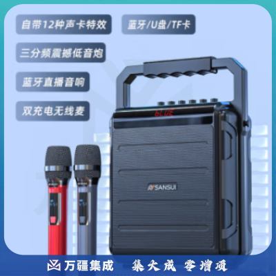山水（SANSUI）K56便携式手提音响 移动带户外音箱 双无线话筒 【300W大功率+声卡音效+双肩包】
