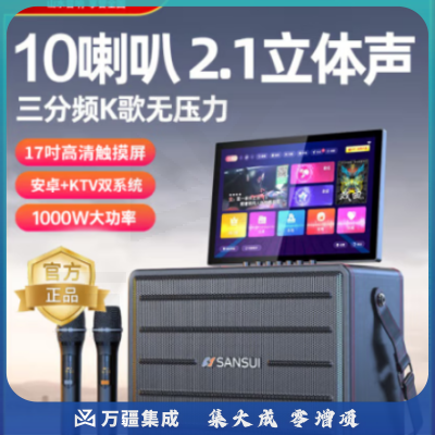 山水（SANSUI）E23音响套装 户外蓝牙音箱低音炮 【1000w+影院级音效+10喇叭】