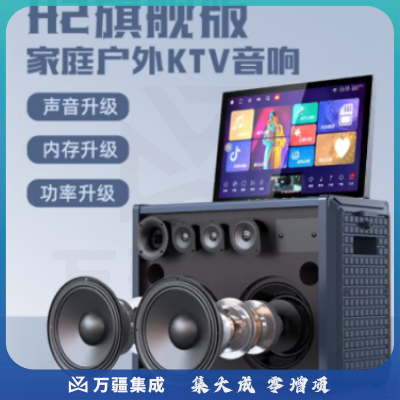 山水（SANSUI）E28音响套装 户外蓝牙音箱 H2旗舰版【1000W+影院级音效】双6.5寸 双话筒