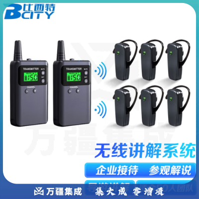 比西特（Bcity）313T/511R 无线讲解器双讲发射机适用于50人团队无线讲解器一对多导游讲解会议配消毒箱