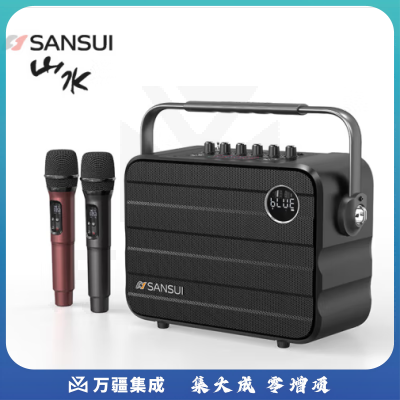 山水（SANSUI）U13无线蓝牙音箱便携式迷你音响车载音乐低音炮乐器扩音器手提家庭卡拉OK低音炮双话筒 黑灰色