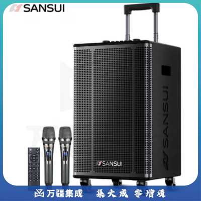 山水（SANSUI）E15广场舞音响 户外音响k歌演出移动便携式拉杆唱歌跳舞大功率重低音带无线话筒 15吋低音 双美声话筒
