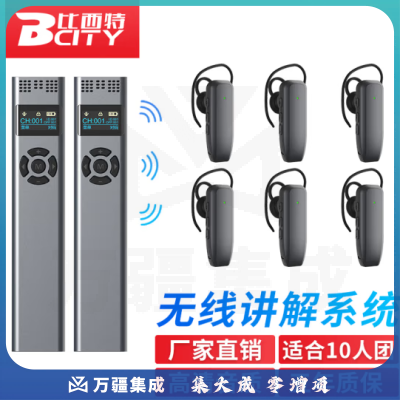 比西特919R无线讲解耳麦一对多政企接待会议讲解器一键关机导游带团电子解说器 双讲 10人听团 10位充 收纳箱