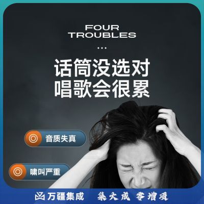 山水（SANSUI）K38无线话筒连接家用KTV演讲会议户外音响音箱通用万能麦克风一拖二