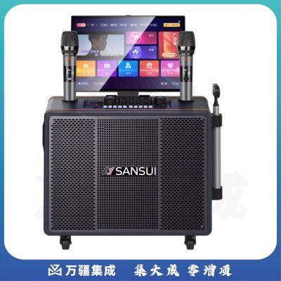 山水（SANSUI） PE105便携户外广场舞拉杆音响  17吋屏+PE105三分频+500G