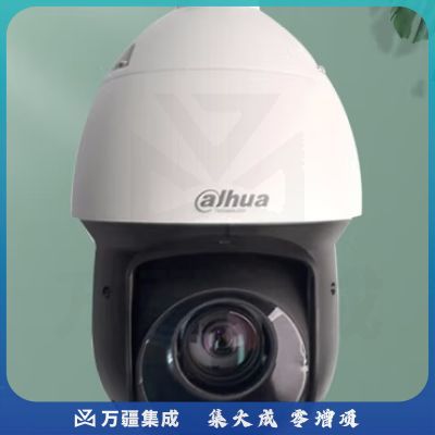 大华dahua球机 4G版 无网高速智能摄像头 4英寸 400万高清红外 100米照射 光学变焦需充值流量 49D423XB-GNR-DG