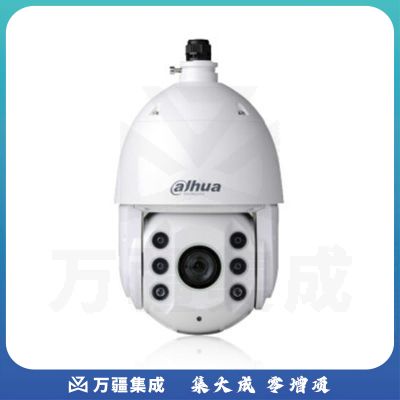 大华 DH-SD6C84E-GN 400万30倍变焦H265 网络球机