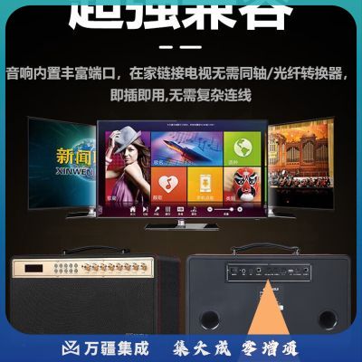 山水（SANSUI）E6 语音点歌KTV音响一体机户外移动家庭卡拉OK音箱网红声卡带话筒专业设备（双话筒）