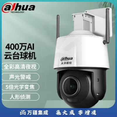大华dahua400万摄像头 网络高清无线旋转云台球机摄像头 全彩夜视 360°家用监控 400万全彩夜视 无内存卡