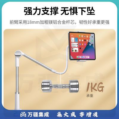 绿联 手机支架床头 悬臂桌面夹俯拍Switch支撑架ipadpro通用 4-12.9英寸设备