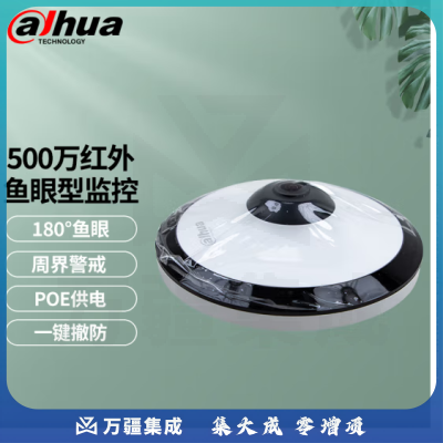 dahua大华dahua高清500万红外鱼眼型网络摄像机全景摄像头支持外接音频插卡网络摄像机 500万鱼眼半球