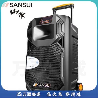 山水（SANSUI） SS1 户外广场舞音响移动拉杆蓝牙音箱便携式低音炮大功率会议室电脑音箱 SS1-12英寸+2话筒 IT.1330