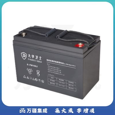 大华卫士（DAHGUARD）6-FM100J  胶体蓄电池 12V100AH